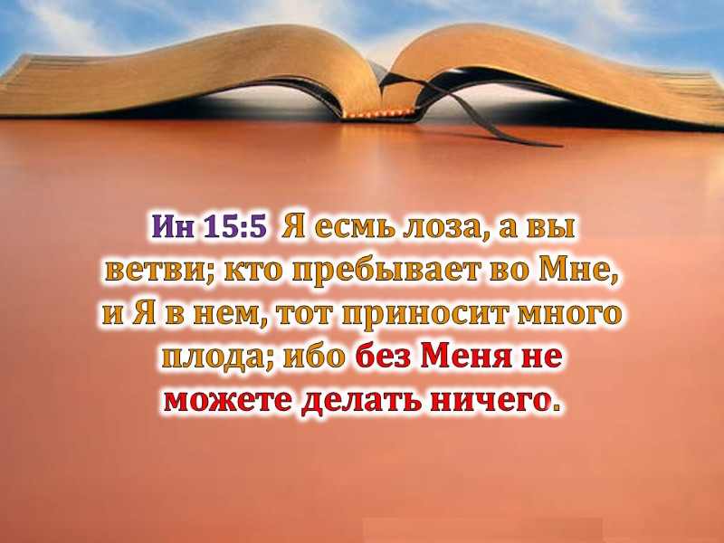 Ин 15:5  Я есмь лоза, а вы ветви; кто пребывает во Мне, и